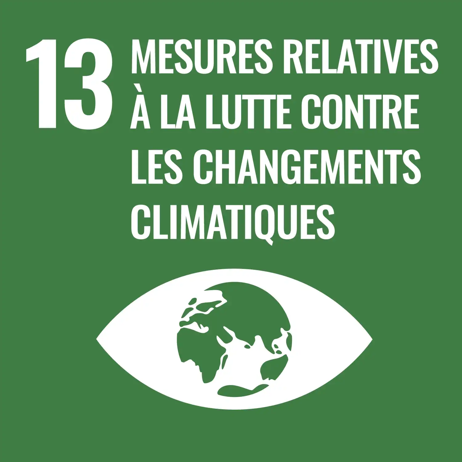 ODD 13 : Action climatique
