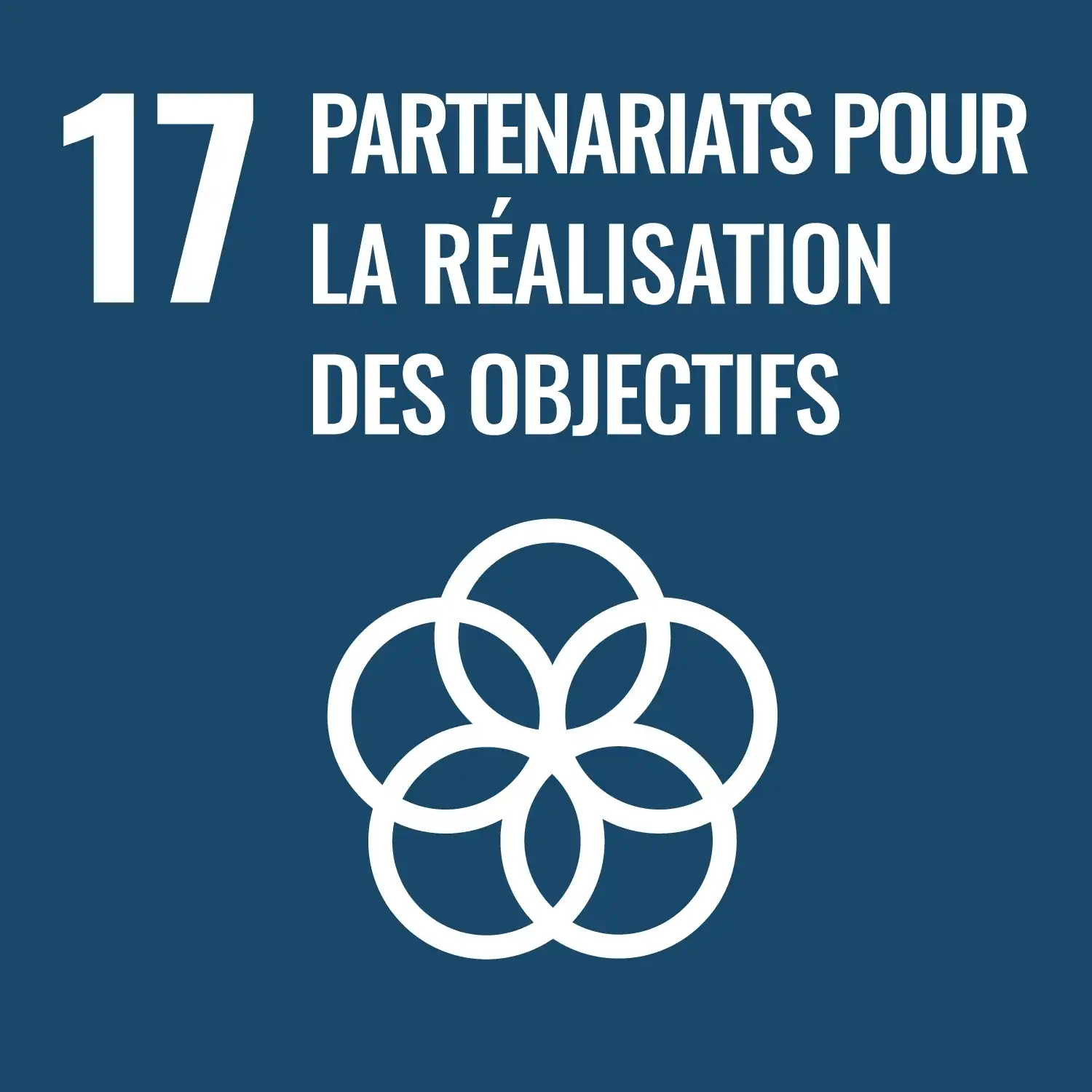 ODD 17 : Partenariats pour les objectifs