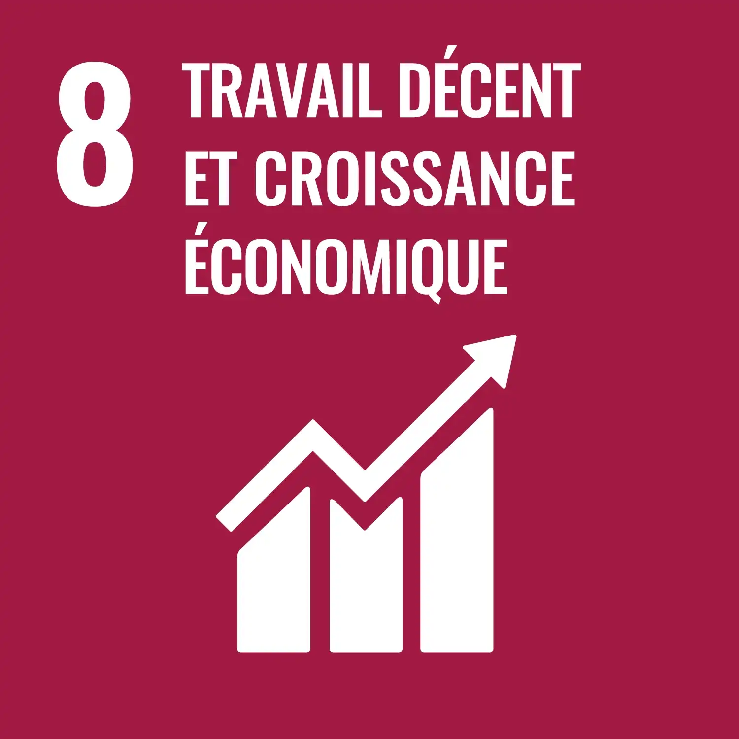 ODD 8 : Travail décent et croissance économique