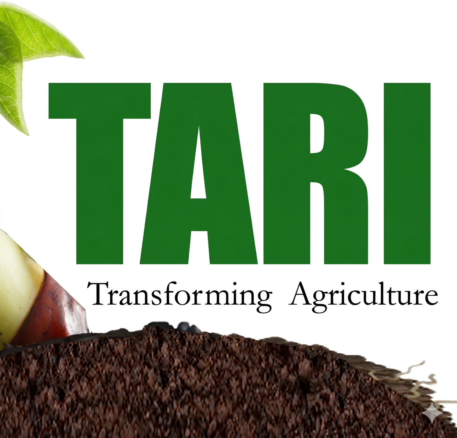 TARI